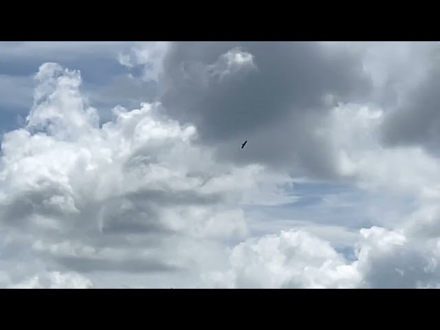 John Howe finds D36!