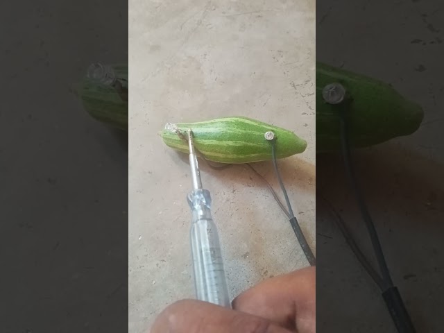 electricity | vidyut dhara |  vidyut dhara experiment | electricity experiment | #experiment #viral