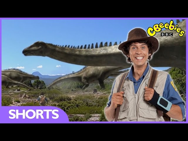 Diplodocus Facts - Andy's Dinosaur Adventures - CBeebies