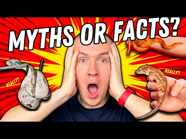 Myth Busting Reptile Facts