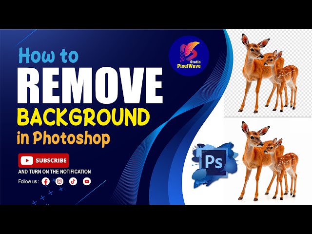 Graphic Design for Beginners | Essential Tips, Tools & Quick Tutorials 2025 Guide #photoshop #adobe