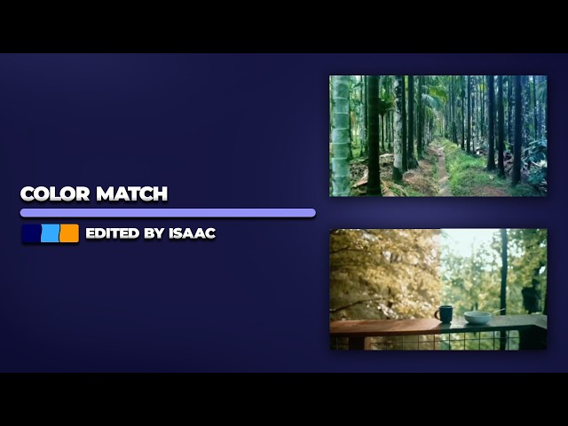 How To Match Colors in Premiere Pro