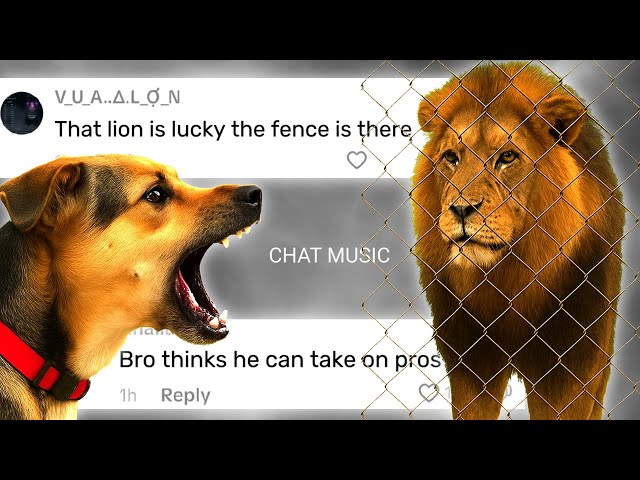 Dog vs Lion 💀 - Chat Music