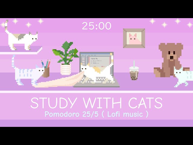 Study with Cats 🧸 Pomodoro Timer 25/5 x Animation | Relaxing study session with chill lofi bgm💜