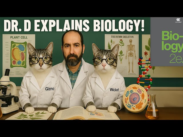 Chapter 14 - DNA Replication from the Openstax Biology 2e textbook.