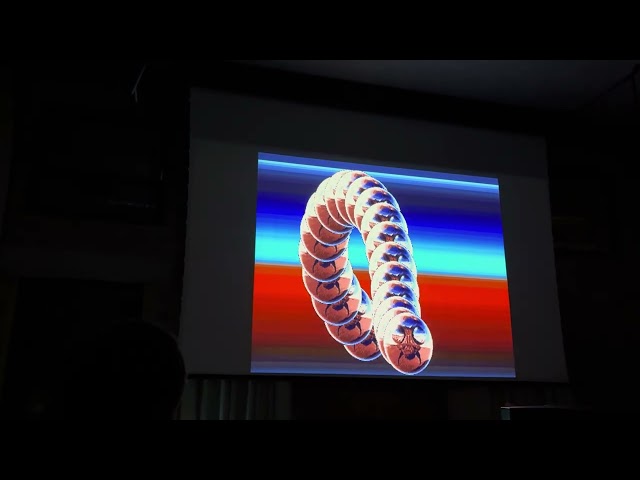 Silly Venture 2025WE - Wormball by Acid Team at Atari ST 4KB Intro, Live from the Gdańsk party place