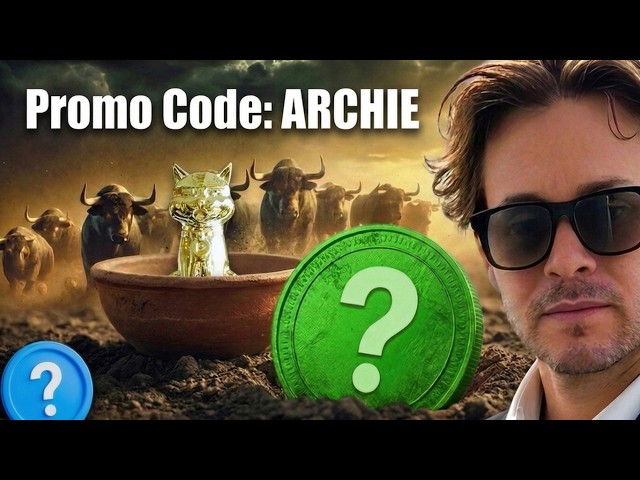 🔥 Golden Kitty Dominance? | New Memes | Stonk Narrative 🚀