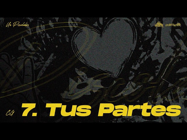 CG - TUS PARTES (VISUALIZER)