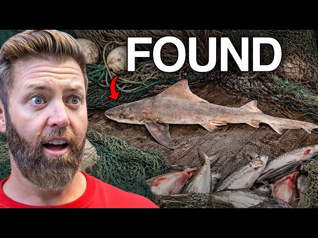 6 Extinct Animals Found in 2025