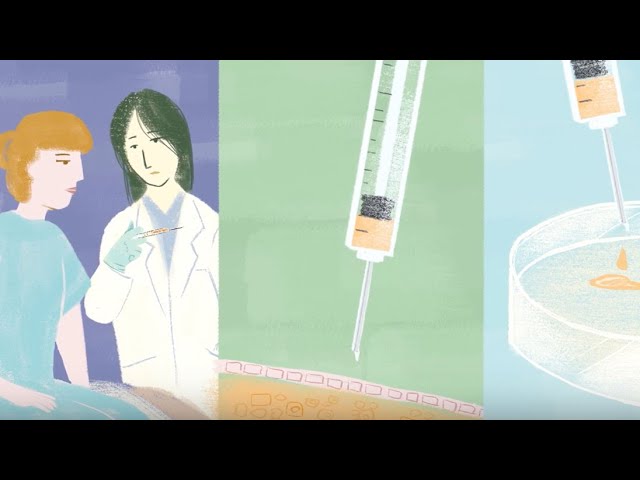 Understanding Cancer Research