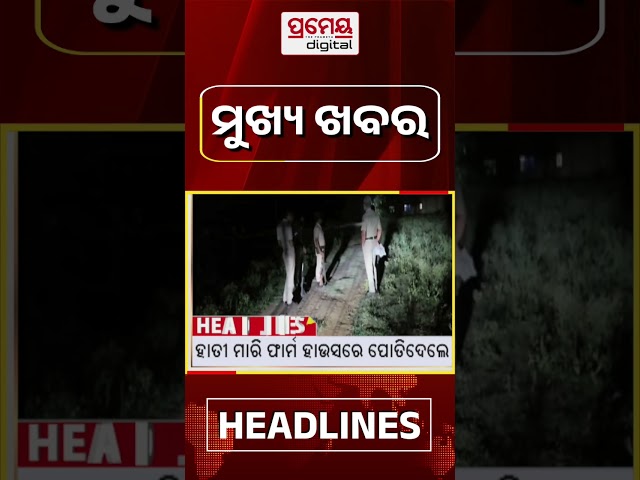 ସକାଳ ୧୦ଟାର ମୁଖ୍ୟ ଖବର #Headlines #HeadlinesToday #TopHeadlines #pramedigital