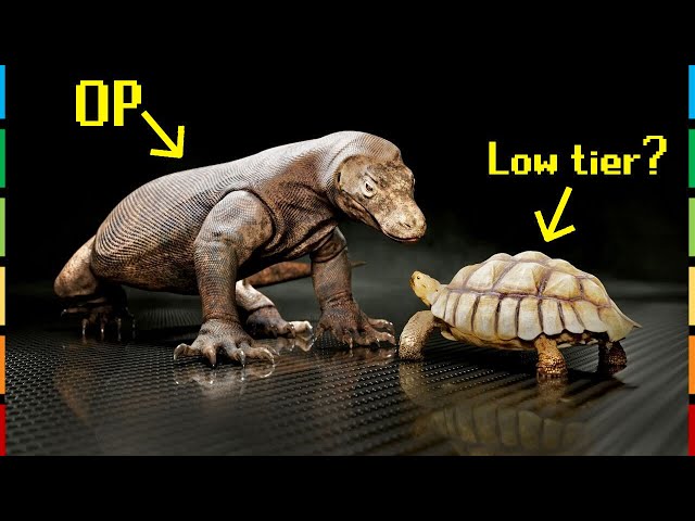 The Reptile Tier List