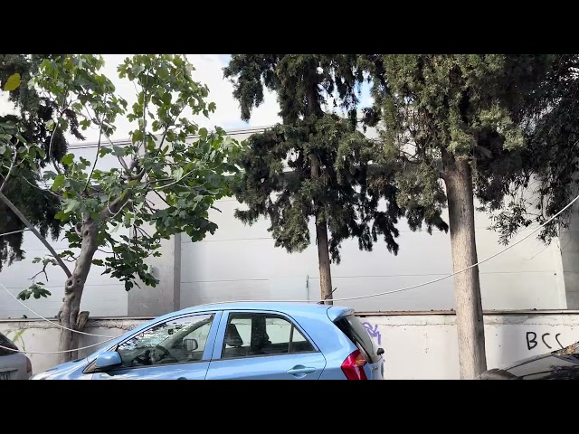 Κομμένα καλώδια ηλεκτροδότησης από ακλάδευτα δέντρα 18/11/2023