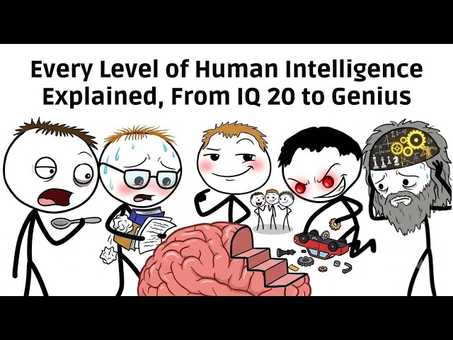 All 11 Levels of Intelligence - Where Do You Fall?