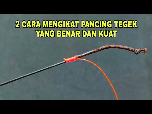 2 cara mengikat joran tegek yang benar dan kuat