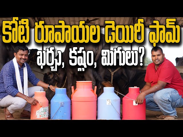 70 గేదెల Dairy Farm.. రోజుకు 250 లీటర్ల పాలు | రైతు బడి