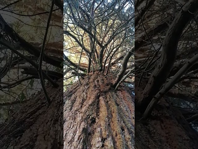 En un bello lugar en Flintshire Gales.