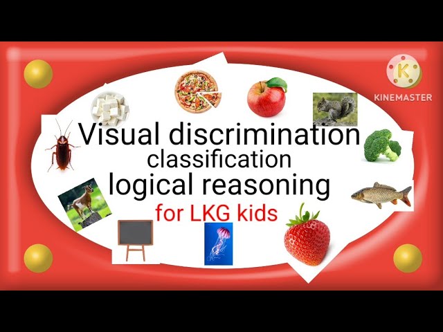 Visual discrimination,classification,logical reasoning for LKG kids.Thinking skill learning  video.