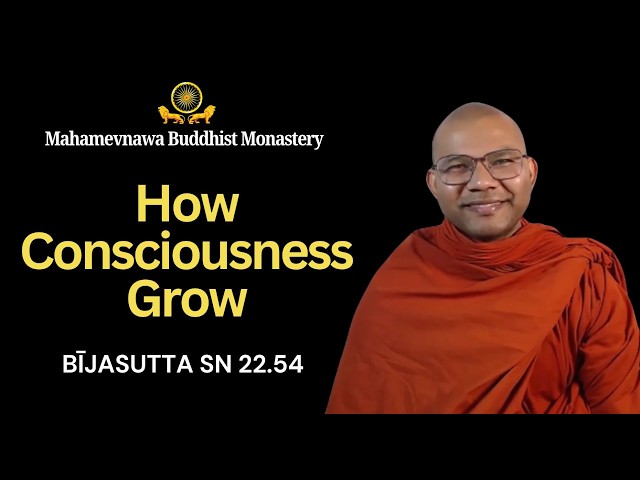 How Consciousness Grow—Bījasutta SN 22 54