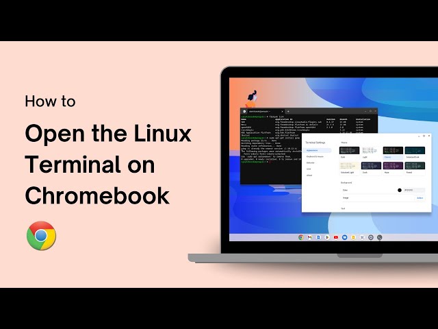 How to Open the Linux Terminal on Chromebook
