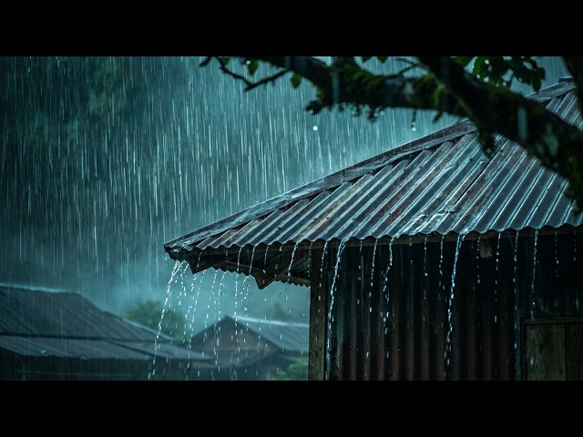 Drift into Deep Sleep Fast with Strong Rainstorm | Heavy Rain & Powerful Thunder on Tin Roof