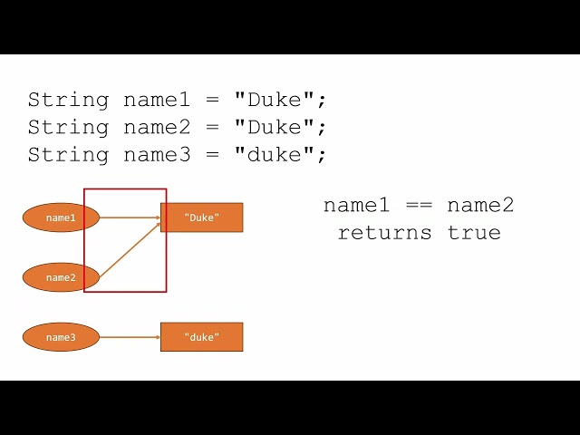 Java for Beginners: == vs .equals() with String Literals