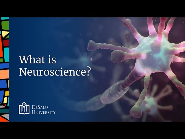 DeSales University: What is Neuroscience?