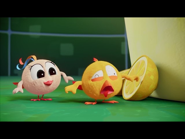 NEW The Lemon | Where's Chicky? | Cartoon Collection in English for Kids | New episodes
