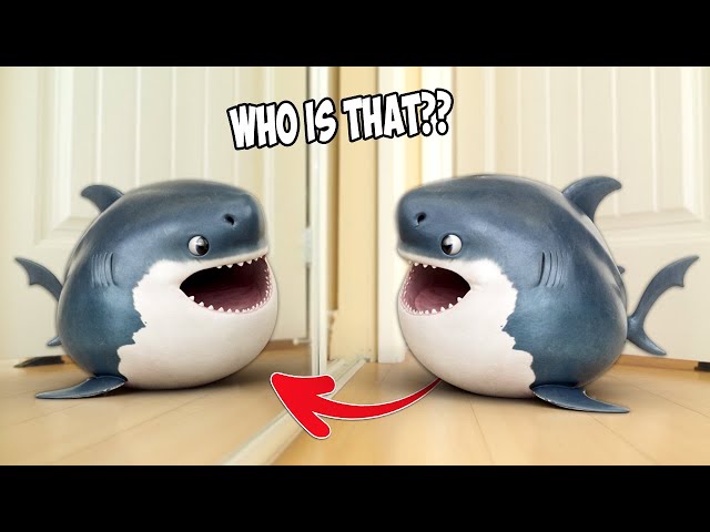 Adorable Baby Shark Sees His Reflection for the First Time – You Won't Believe His Reaction!