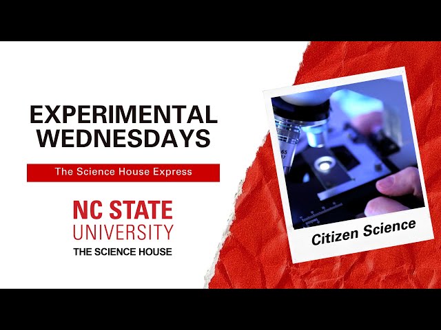 Experimental Wednesdays - Episode 4 Citizen Science (360 VR version)