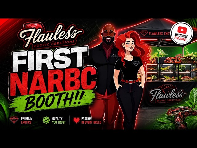 Our FIRST Time Vending Ball Pythons at NARBC Tinley… Here’s What Happened!