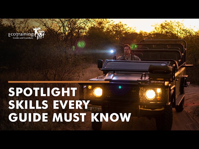 Spotlight Skills Every Guide Needs on a Night Drive! | EcoTraining