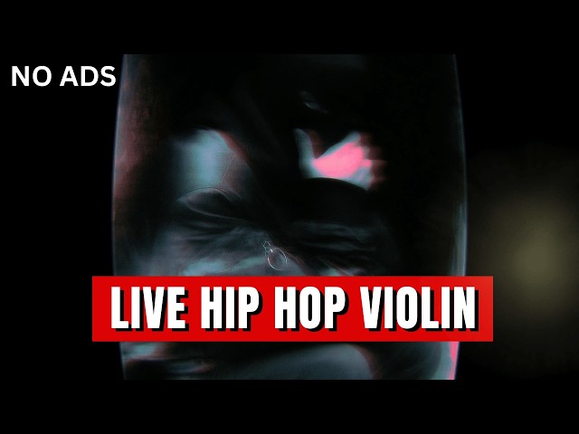 【No ADS】24/7 Live Stream | Violin x Hip Hop Playlist | Chill Lo-Fi Hip Hop Beats/Study & Relax Music