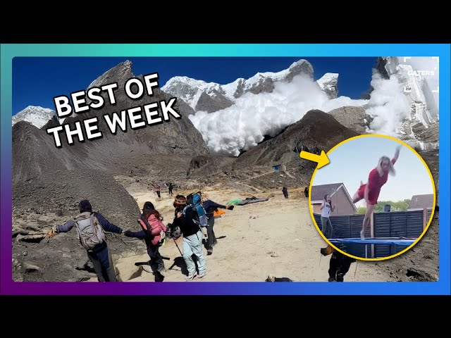 This Week's Most VIRAL Videos!