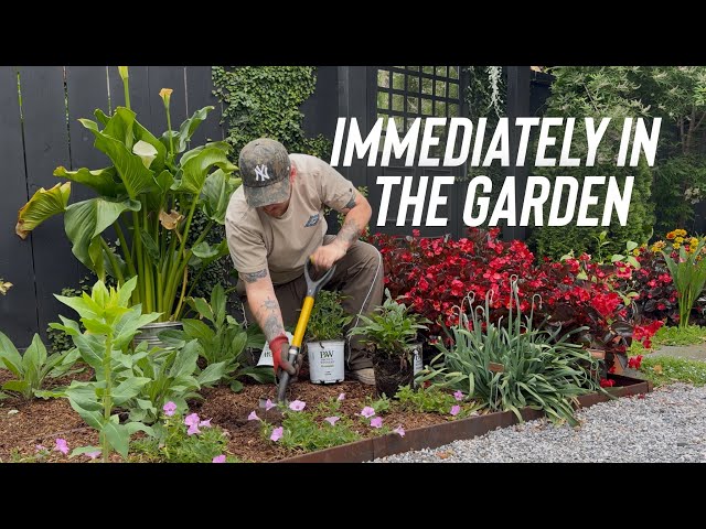 Planting Gomphrena, Coneflowers & Small Updates On Progress