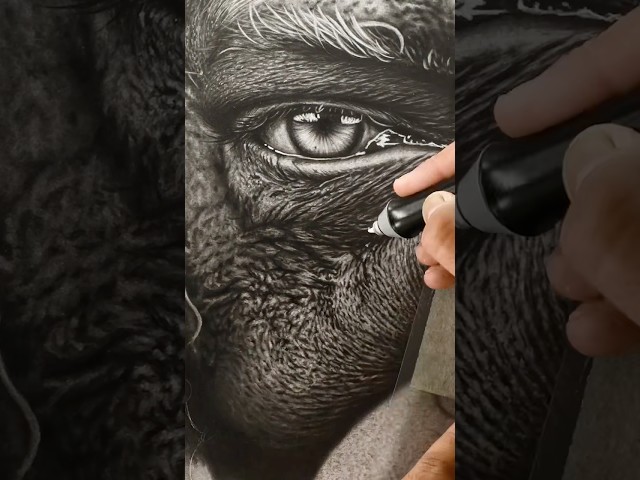 I love the Timelapse of such Hyper Realistic drawing😍