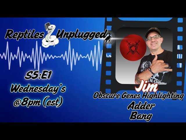 Ectothermic Dungeon | Morph Madness | Adder Gene