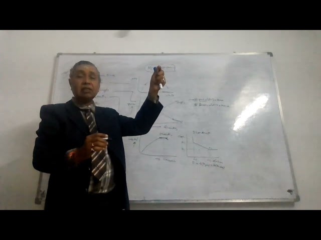#5-Micro Economics