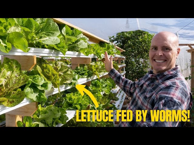 An Amazing Vertical Garden Powered by Worms!