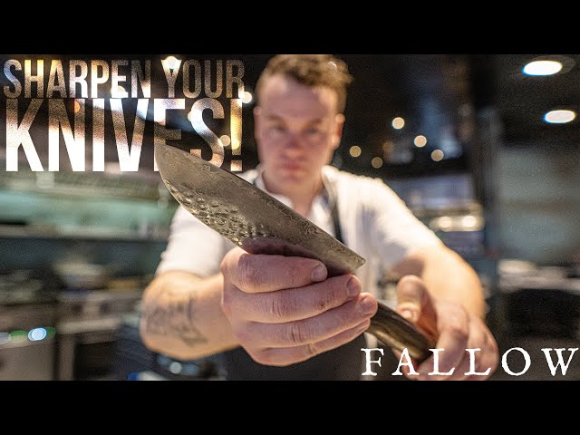 How to Sharpen Your Knives