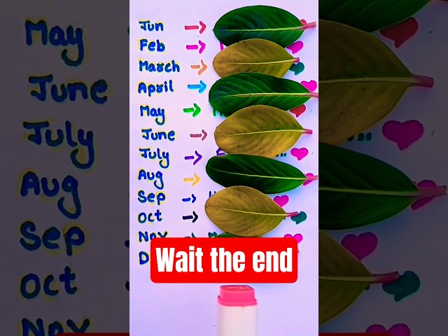 Select your class😂 #shorts #shortvideo #shortsfeed #trending #reels #ytshorts #viral #art #song