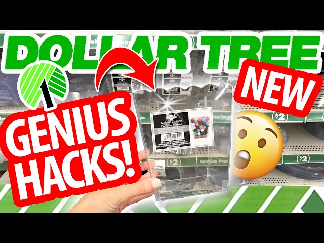 🏆PURE GENIUS Dollar Tree HACKS! DIYs perfect for small budgets!