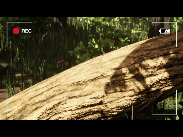 Bug Short - Animated Short 2023