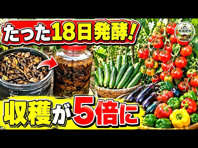 Don't Throw Away Those Fallen Leaves! A 90-Year-Old Gardener’s 18-Day High-Speed Composting Metho...