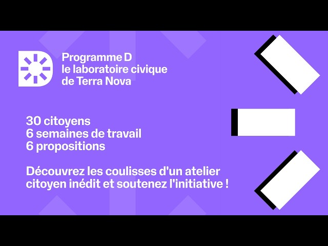 Programme D, le laboratoire civique de Terra Nova
