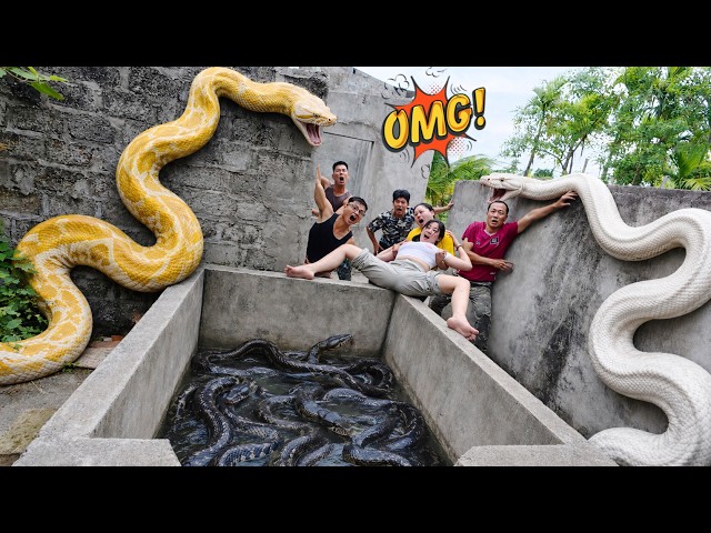 Brave Expert Rescues Young Girl from Giant White Python in Abandoned House.