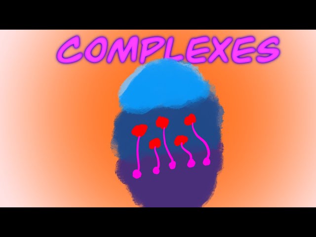 Carl Jung - The Complexes