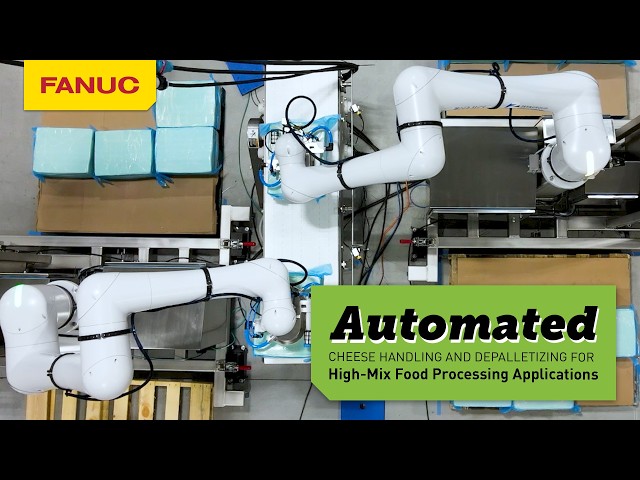 Automated Cheese Handling and Depalletizing for High-Mix Food Processing Applications