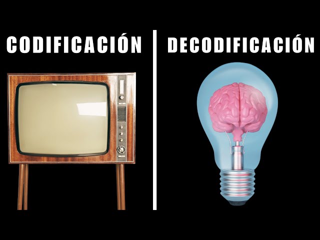 Stuart Hall - Codificación y decodificación en el discurso televisivo 📺