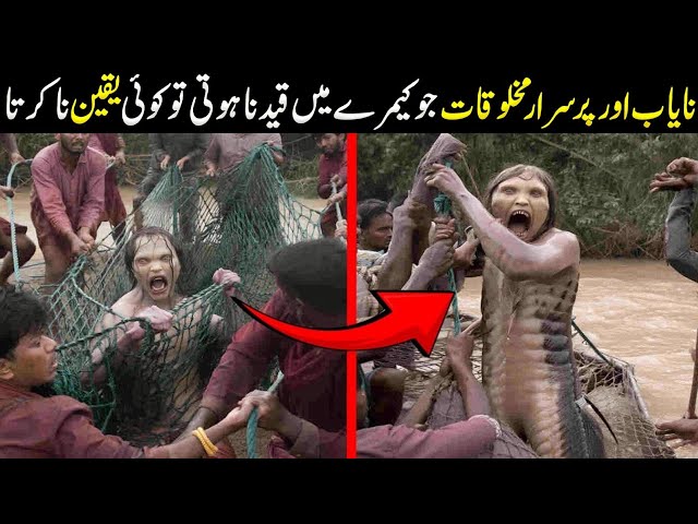 Strange Creatures Filmed In Real Life; Nobody Believed It Until He Recorded It